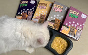 Choosing the Best Cat Food for Picky Eaters